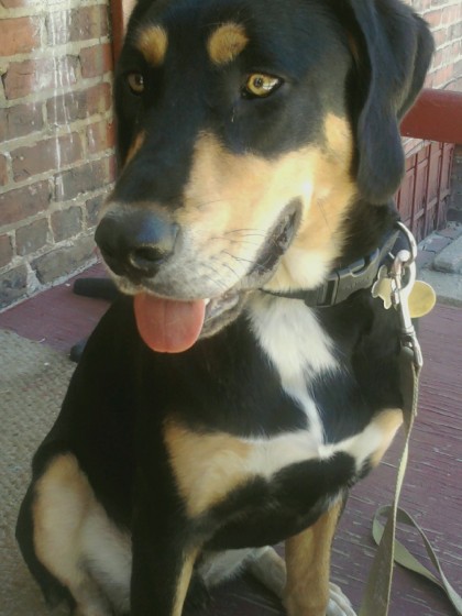 Clyde on the porch