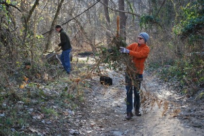 hands on pony pasture